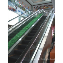 Aksen Escalator Intérieur et Extérieur Type de Porte